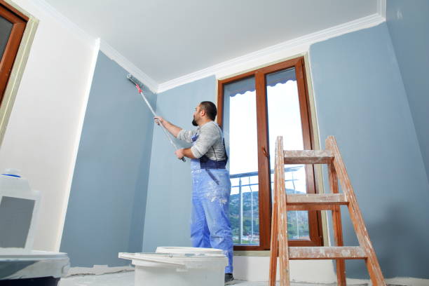 Forensic Mold Investigation in Anthem, AZ